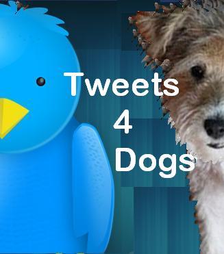 tweets_4_dogs's profile picture. Dogs are tweeple too!...A dog lover dedicated to making a dogs world a better place...training tips, dog blog, dog communication, $ everything doggy! Woof-woof!