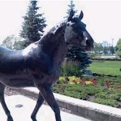 roberttremb's profile picture. 