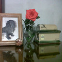 Elsa Salazar Montoya - @RockylinElsa - Twitter