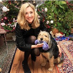 UlliSchober's profile picture. 