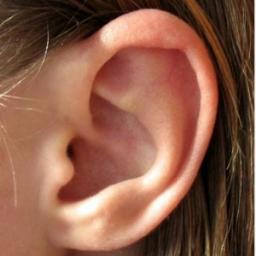 ikhoorindetrein's profile picture. Lees mee met wat Nederland hoort in de trein. #ikhoorindetrein