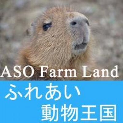 阿蘇ファームランド ふれあい動物王国 Asomanabi Twitter 阿蘇ファームランド ふれあい動物王国 Asomanabi Twitter