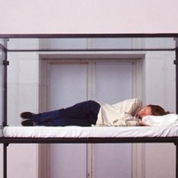 TildaInABox's profile picture. I sleep in a box at a museum. They think I'm sleeping, but I'm not.