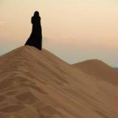 MuslimahAB's profile picture. 