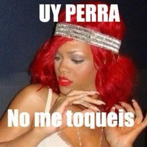 CallateMarica's profile picture. 