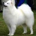 Kayla Kaufman - @KMK01192013 - Twitter