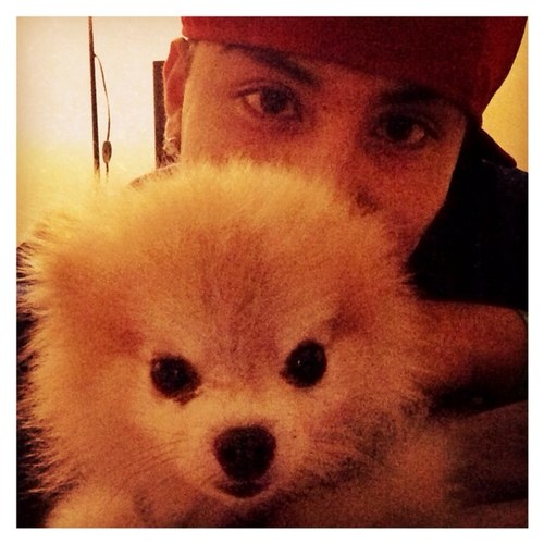 GregEpstein's profile picture. 