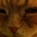 eric macfarlane - @macaroon88 - Twitter