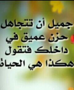 fofo44fofo44's profile picture. أم ملاك