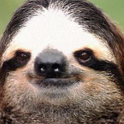 RapeSlothGod's profile picture. Home Of the Rape Sloth