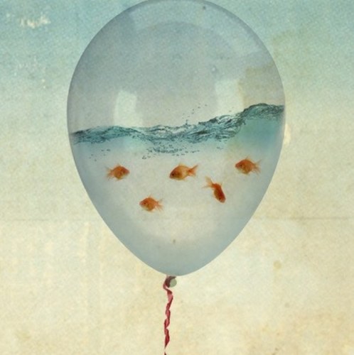 0benedetta0's profile picture. 