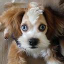 Sidney Ortiz - @sidneymortiz - Twitter