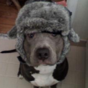 Rafał Kuc - @StewieSuperStar - Twitter