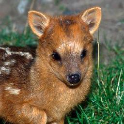 RyanJLoNichol's profile picture. Aint Bout That Bio life