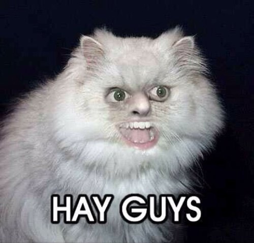 NotesTo_Self's profile picture. Notes to Self. Wisdom. Follow and I'll Follow You.