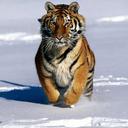 Adil Baig - @aidezigns - Twitter