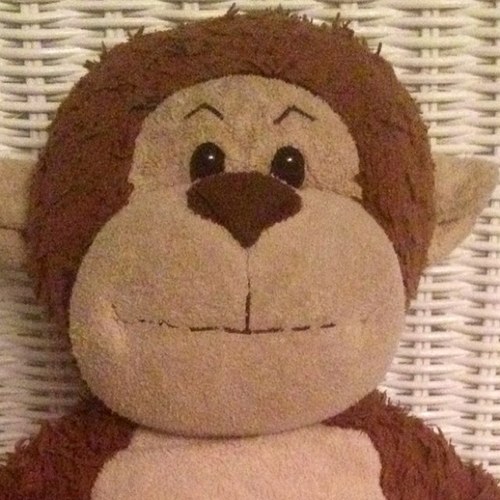 TbrinkTJ's profile picture. 