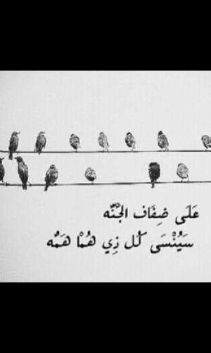‏‏‏‏سبحان الله وبحمده سبحان الله العظيم *
