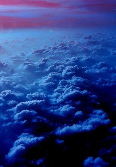 Majodtk12's profile picture. 