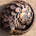 Pangolin Security (@pangolinltd) Twitter profile photo Pangolin Security (@pangolinltd) Twitter profile photo