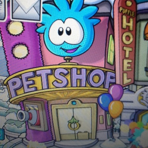 Add me on CP Alex20647 Official Club Penguin Blogger Come here for everything you need to know about you favourite online virtual world!