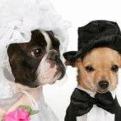 Blog de bodas