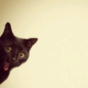 Epaa!! - @Eric_Diez - Twitter