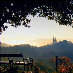 RealMe177's profile picture. 