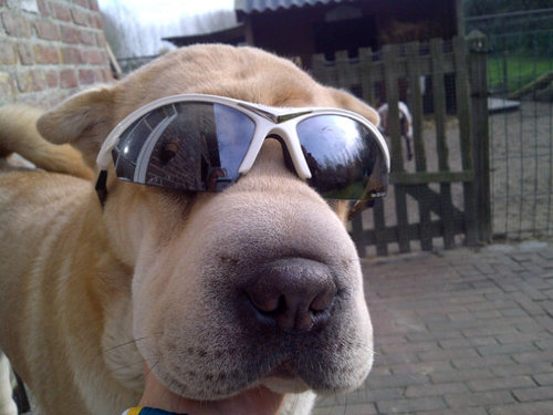 miriam231263's profile picture. Vrouw