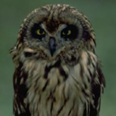 reflaubert's profile picture. 