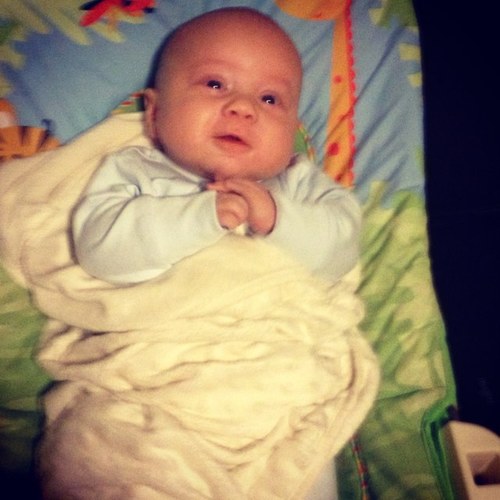 levi_perry's profile picture. 