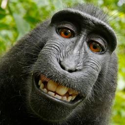 SGXSensortech's profile picture. 