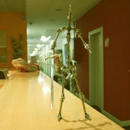 NanimacSM's profile picture. 