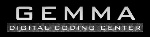 Gemma DCC takes care of your entire Web Strategy. An intelligent combination of Website Development, SEO and Consalting.