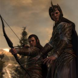 Im Elrohir youngest of my siblings. Son to Elrond, live in rivendell, i have grey eyes and i do missions with my brother. like to read.I dream of peice one day.