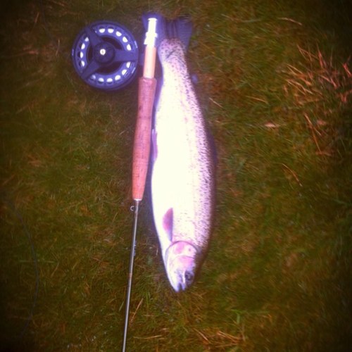 ordflyfisher's profile picture. 