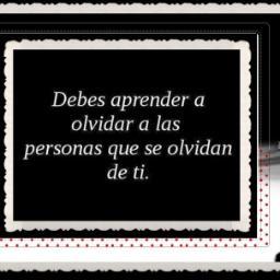 Frases y reflexiones sobre la vida misma.