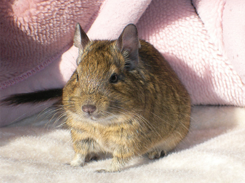 en_namenglin's profile picture. 蒼井優ちゃんて本当に独特な魅力ありますよね(ノω｀)芸術人間って感じ！素敵です♪