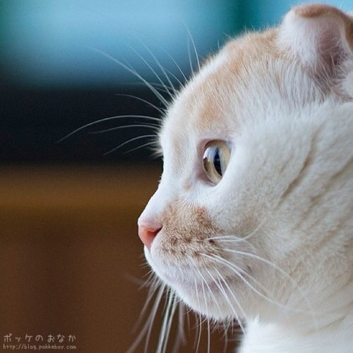 _a_k_i_y_o_'s profile picture. 