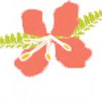 Kerry Simmonds (@royalstkitts) 's Twitter Profile