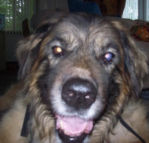 JerryMcKenna1's profile picture. 