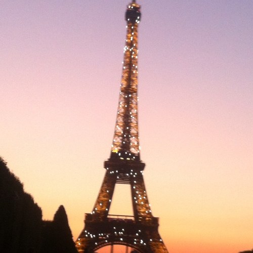 TDegrandmaison's profile picture. 