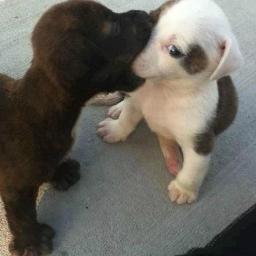 KammoKarma's profile picture. I'm me and that's all I can be and nobody can be me er than me