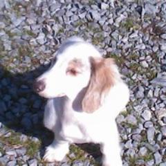 serenitykitkat's profile picture. 