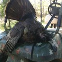 Kyle lachney - @Kyle_Lachney - Twitter