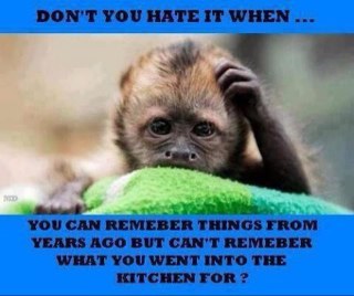 Ppamelacd69's profile picture. 