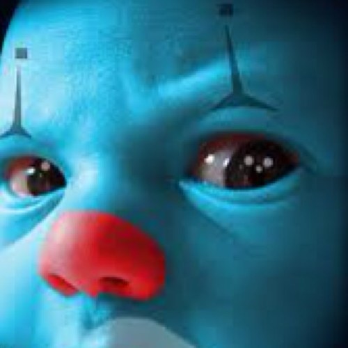 LPayas's profile picture. 