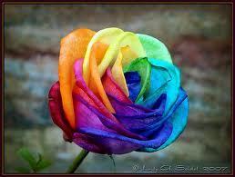 i love