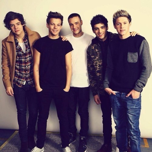 16,Loud, crazy, Directioner!!! 02/26/12 and 05/31/12 saw the boys live in toronto! All of 1D follow, minus Lou, Haz, Liam Zayn and Niall...