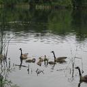 John Ahn - @Ahn333 - Twitter